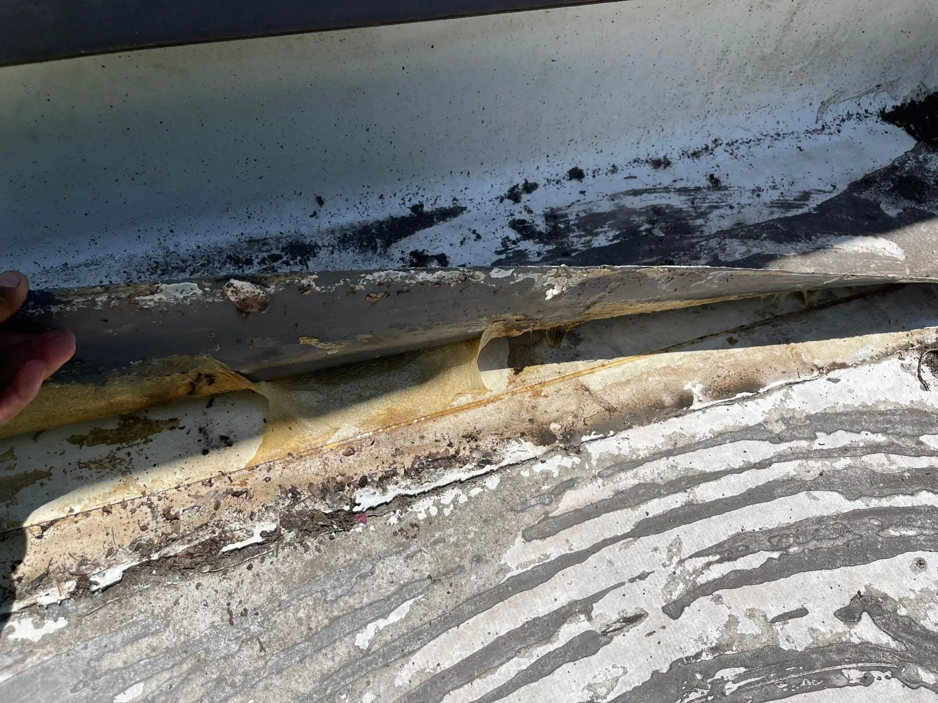 Unbonded TPO seam lifting at the lap with dirt trapped underneath
