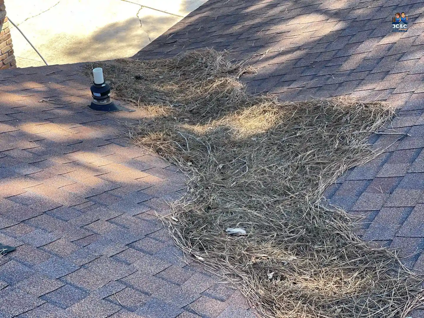Commercial shingle roof maintenance