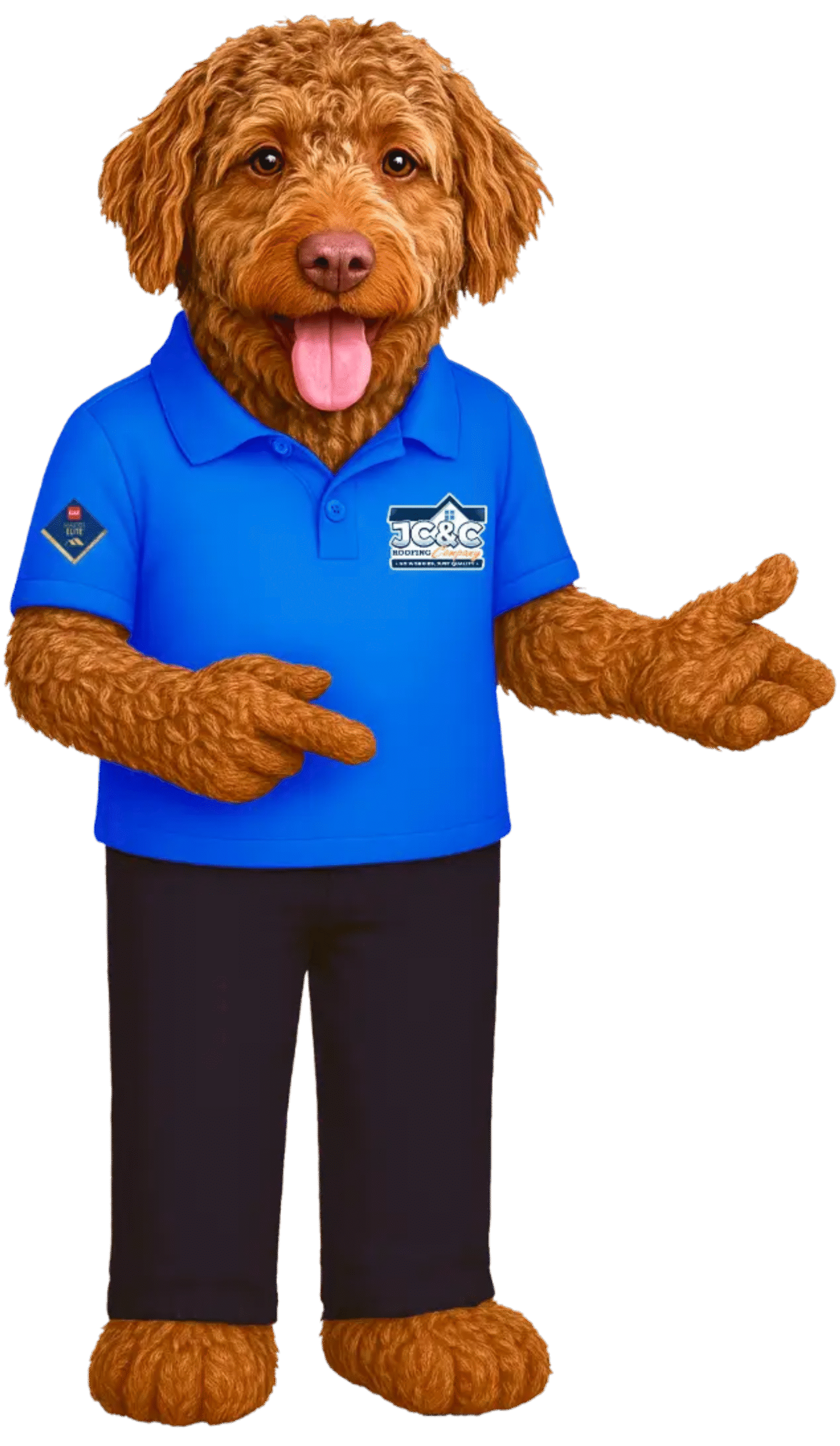 Colter Jose - JC&C Roofing Company Mascot - Houston's Best Roofing Contractors