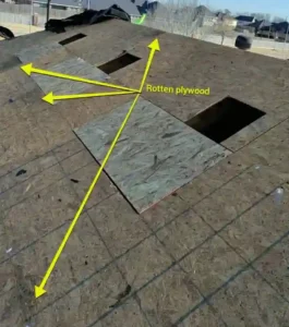 The same roof area stripped to the deck, with arrows marking rotten plywood around the vent openings