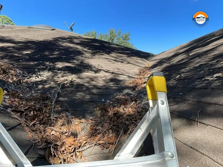 Pine needles piled in a roof valley in northwest Houston